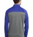 Nike AH6254  Therma-FIT 1/2-Zip Fleece Game Ry/D Gy H back view