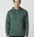 Cotton Heritage M2500 LIGHT PULLOVER HOODIE in Pine front view