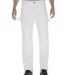 Dickies Workwear 2053 Unisex Painter's Double Knee WHITE _44 front view