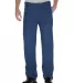 Dickies Workwear 9393 Unisex Regular Straight Fit  STONEWASH _36 front view