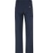 Dickies Workwear C7988 Unisex Regular Fit 5-Pocket in Dark navy _38 back view