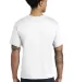 AA1070 Alternative Apparel Basic T-shirt in White back view
