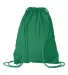 8881 Liberty Bags® Drawstring Backpack KELLY GREEN back view
