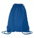 8881 Liberty Bags® Drawstring Backpack ROYAL back view