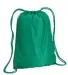 8881 Liberty Bags® Drawstring Backpack KELLY GREEN front view