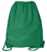 8882 Liberty Bags® Large Drawstring Backpack KELLY GREEN back view