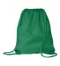 8882 Liberty Bags® Large Drawstring Backpack KELLY GREEN front view