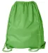 8882 Liberty Bags® Large Drawstring Backpack LIME GREEN back view