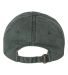 Sportsman SP500 Pigment Dyed Cap in Forest back view