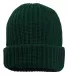 Sportsman SP90 12" Chunky Knit Cap in Forest green back view