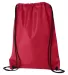Liberty Bags 8886 Value Drawstring Backpack RED back view