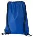 Liberty Bags 8886 Value Drawstring Backpack ROYAL back view