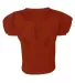 A4 Apparel N4260 Adult Drills Polyester Mesh Pract CARDINAL back view