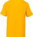 Russel Athletic 64STTB Youth Essential 60/40 Perfo GOLD back view