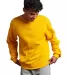 Russel Athletic 698HBM Dri Power® Crewneck Sweats in Gold front view