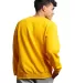 Russel Athletic 698HBM Dri Power® Crewneck Sweats in Gold back view