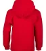 Russel Athletic 995HBB Youth Dri Power® Hooded Pu in True red back view