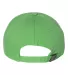 Richardson Hats 320 Washed Chino Cap Lime back view