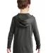 District Clothing DT139Y District    Youth Perfect in Black frost back view