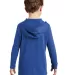 District Clothing DT139Y District    Youth Perfect in Deep royal back view