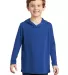 District Clothing DT139Y District    Youth Perfect in Deep royal front view