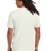 District Clothing DT8000 District    Re-Tee in Ash back view