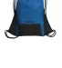 Ogio Bags 92000 OGIO    Boundary Cinch Pack Cobalt Blue back view