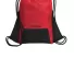 Ogio Bags 92000 OGIO    Boundary Cinch Pack Ripped Red back view