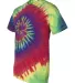 Dynomite 200MS Multi-Color Spiral Short Sleeve T-S in Classic rainbow spiral side view