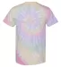 Dynomite 200MS Multi-Color Spiral Short Sleeve T-S in Hazy rainbow back view
