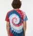 Dynomite 200MS Multi-Color Spiral Short Sleeve T-S in Patriot back view