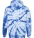 Dyenomite 680VR Blended Hooded Sweatshirt in Royal back view