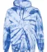 Dyenomite 680VR Blended Hooded Sweatshirt in Royal front view