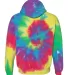 Dyenomite 680VR Blended Hooded Sweatshirt in Classic rainbow back view