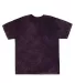 Dyenomite Mineral Wash T-Shirt 200MW in Aubergine front view