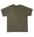 Dyenomite Mineral Wash T-Shirt 200MW in Kale front view