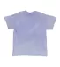 Dyenomite Mineral Wash T-Shirt 200MW in Lavender front view