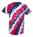 Tilt Tie Dye T-Shirt in Usa back view