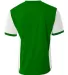 A4 Apparel NB3017 Youth Premier Soccer Jersey KELLY/ WHITE back view