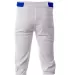 A4 Apparel NB6003 Youth Baseball Knicker Pant WHITE/ ROYAL back view