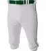 A4 Apparel NB6003 Youth Baseball Knicker Pant WHITE/ FOREST front view