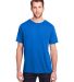 Core 365 CE111 Adult Fusion ChromaSoft™ Performa in True royal front view