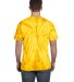 Tie-Dye CD101 Adult 5.4 oz. 100% Cotton Spider T-S in Spider gold back view