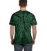 Tie-Dye CD101 Adult 5.4 oz. 100% Cotton Spider T-S in Spider green back view