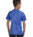 Tie-Dye CD101Y Youth 5.4 oz. 100% Cotton Spider T- SPIDER ROYAL back view