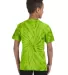 Tie-Dye CD101Y Youth 5.4 oz. 100% Cotton Spider T- SPIDER LIME back view