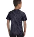 Tie-Dye CD101Y Youth 5.4 oz. 100% Cotton Spider T- SPIDER NAVY back view