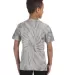 Tie-Dye CD101Y Youth 5.4 oz. 100% Cotton Spider T- SPIDER SILVER back view