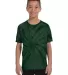 Tie-Dye CD101Y Youth 5.4 oz. 100% Cotton Spider T- SPIDER GREEN front view