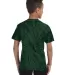 Tie-Dye CD101Y Youth 5.4 oz. 100% Cotton Spider T- SPIDER GREEN back view